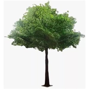 Árvore Artificial Grande Planta Realista Decoração Evento 3m