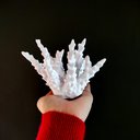 Ver imagem 2 de Estatueta Coral Belize 10 cm - Decoração Para Sala E Quarto - Toque 3D:Branco
