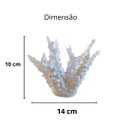 Ver imagem 5 de Estatueta Coral Belize 10 cm - Decoração Para Sala E Quarto - Toque 3D:Branco