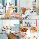 Ver imagem 6 de Secador de Pelo 2 In 1 Escova Pente Pet Tosa Profissional Portátil Gato Cachorro