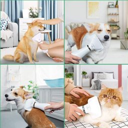Secador de Pelo 2 In 1 Escova Pente Pet Tosa Profissional Portátil Gato Cachorro - 6