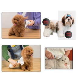 Secador de Pelo 2 In 1 Escova Pente Pet Tosa Profissional Portátil Gato Cachorro - 8
