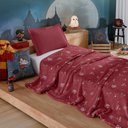 Ver imagem 2 de Manta Plush Licenciado Harry Potter Diagonal Solteiro 150x220cm - Diagonal