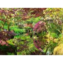 Ver imagem 2 de Papel de Parede Jardim Japonês Ponte Japão 3d 7,50m² Jjp19