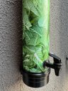 Ver imagem 6 de Dreno Ecológico para Ar Condicionado Drenoeco - 8l - Cor Folhagem - 97 Cm.