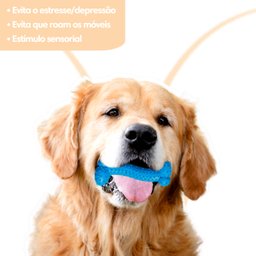 Kit 6 Osso Anti Stress Mordedor Massageador Gengival Pet - 3