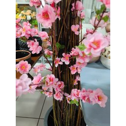 Árvore Grande 2 Metros Flores Cerejeiras Tronco Real - 3