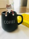 Ver imagem 6 de Conjunto Caneca Bojuda e Colher Gatinho Coffee