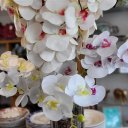 Ver imagem 3 de Galho Orquídea Branca 9 Flores Realistas Toque Real 95cm