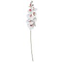 Ver imagem 1 de Galho Orquídea Branca 9 Flores Realistas Toque Real 95cm