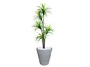 Ver imagem 1 de Planta Artificial Árvore Yucca 1,60m Kit + Vaso Redondo D. Grafiato Cinza 40cm