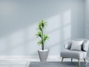 Ver imagem 2 de Planta Artificial Árvore Yucca 1,60m Kit + Vaso Redondo D. Grafiato Cinza 40cm