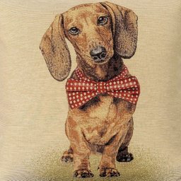 Capa de almofada Dachshund - 2