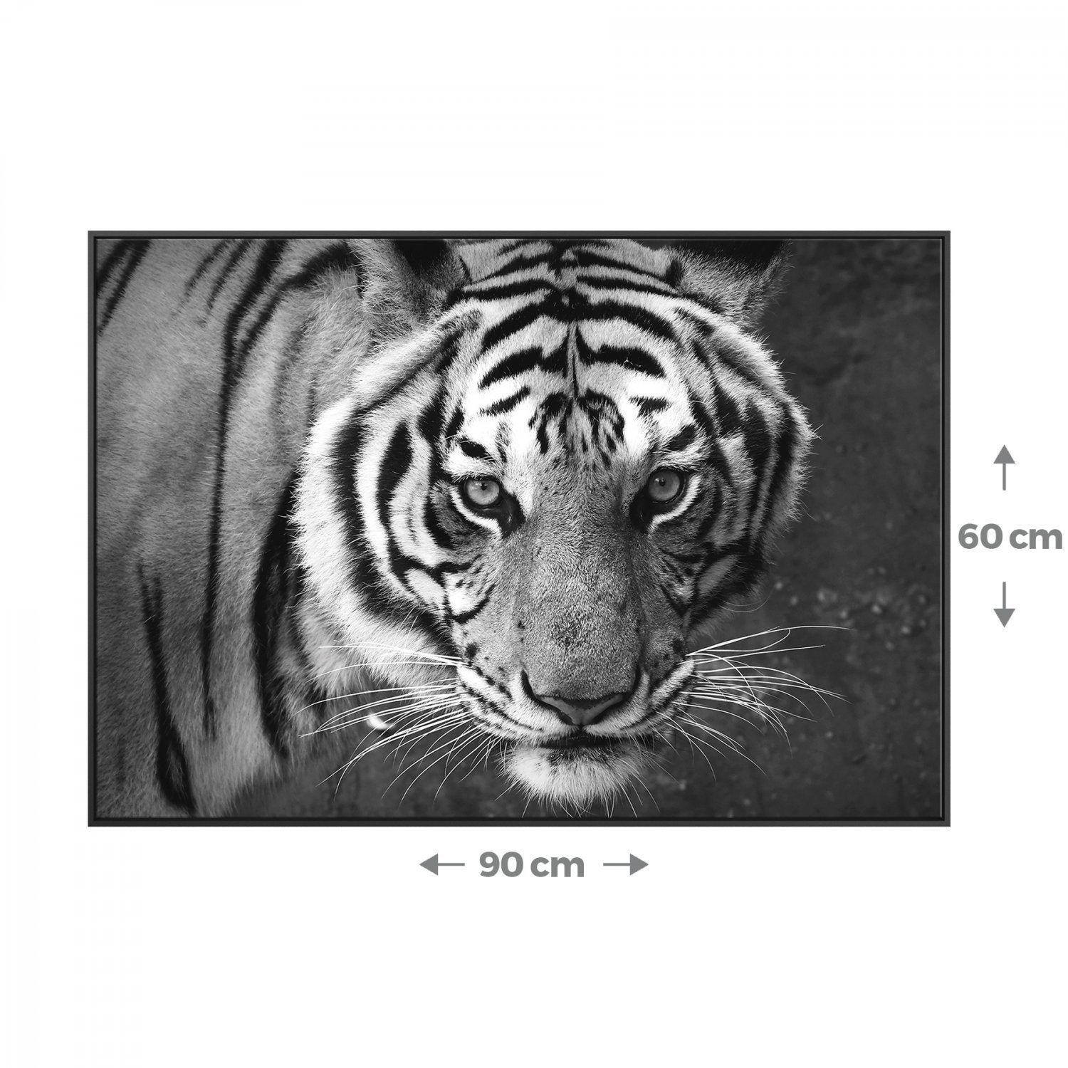 Quadro Tela Animais com Moldura 90x60cm Belchior - 3