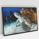 Ver imagem 5 de Quadro Decorativo em Canvas Tartaruga TaColado Moldura Flutuante 4,5cm Freijó 120 x 80cm
