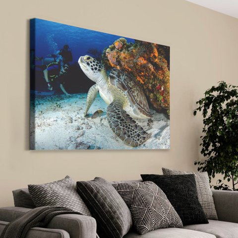Quadro Decorativo em Canvas Tartaruga TaColado Moldura Flutuante 4,5cm Freijó 120 x 80cm