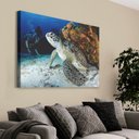 Ver imagem 1 de Quadro Decorativo em Canvas Tartaruga TaColado Moldura Flutuante 4,5cm Freijó 120 x 80cm
