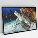 Ver imagem 3 de Quadro Decorativo em Canvas Tartaruga TaColado Moldura Flutuante 4,5cm Freijó 120 x 80cm