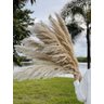Kit 10 Hastes Capim Dos Pampas Arranjo Floral Decor Moderno - 5