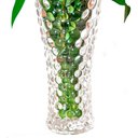 Ver imagem 4 de Vaso de Plantas e Flores de Vidro Decorativo Bubble 18x7cm - Lyor