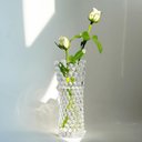 Ver imagem 5 de Vaso de Plantas e Flores de Vidro Decorativo Bubble 18x7cm - Lyor