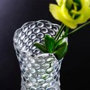 Ver mais imagens de Vaso de Plantas e Flores de Vidro Decorativo Bubble 18x7cm - Lyor