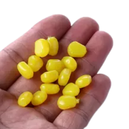 Kit 100 Iscas Artificiais Milho Tilapia Piapara Piau Amarelo - 2