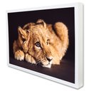 Ver imagem 2 de Quadro Decorativo Filhote do Predador em Moldura Caixa Tacolado Moldura Trad 1cm Branca com Vidro 40
