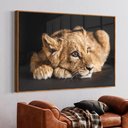 Ver imagem 1 de Quadro Decorativo Filhote do Predador em Moldura Caixa Tacolado Moldura Trad 1cm Branca com Vidro 40