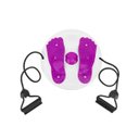 Ver imagem 3 de Disco de Exercicios e Equilibrio Corporal com Elastico