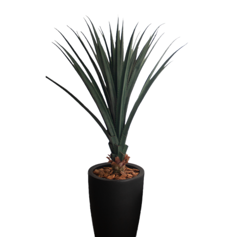 Árvore Pandanus Realista com Vaso de Polietileno Preto Absoluto | formosinha