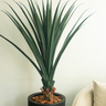 Árvore Pandanus Realista com Vaso de Polietileno Preto Absoluto | formosinha - 2