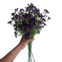 Ver imagem 1 de Kit com 20 Galhos Flor Artificial Roxo para Vasos Centros de Mesa e Eventos