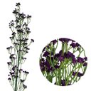 Ver imagem 3 de Kit com 20 Galhos Flor Artificial Roxo para Vasos Centros de Mesa e Eventos