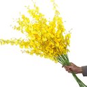 Ver imagem 2 de Orquídeas Orquídea Kit 15 Galhos Flor de Mesa Arranjo Buquê