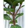 Arvore Planta Ficus Lyrata 160cm Decoração de Sala - 2