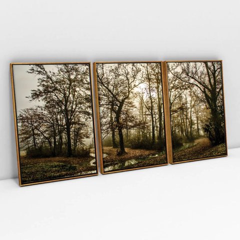 Kit Quadro Decorativo 3 Telas Canvas o Caminho Das Arvores Tacolado Moldura Flutuante 4,5cm Freijó 8