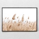 Ver imagem 1 de Quadro Decorativo Capim Rabo de Raposa Com Moldura e Sem Vidro 100X160