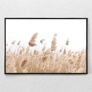 Quadro Decorativo Capim Rabo de Raposa Com Moldura e Sem Vidro 100X160