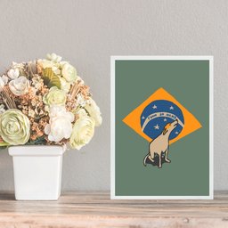 Quadro Cachorro Caramelo - Bandeira Brasil 24x18cm:moldura Branca - 1