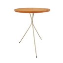 Ver imagem 2 de Mesa Lateral Redonda Bistrô Pé Palito Apoio Sofá Decoração 45 X 45cm Nozes / Champagne