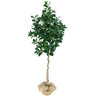 Árvore Planta Figueira Asiática 162 cm Verde Realista - 1
