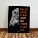 Ver imagem 6 de Kit 3 Quadro Decorativo Motivacional Leão Águia Lobo Foco 40x28cm