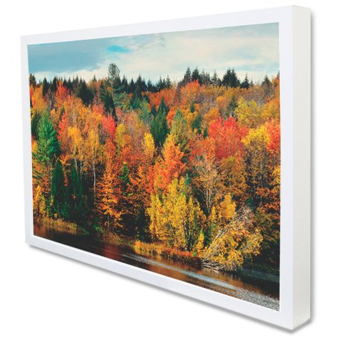 Quadro Decorativo Caixa Árvores de Outono Tacolado Moldura Caixa Alta 4,5cm Preta sem Vidro 60 X 90c