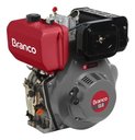 Ver imagem 5 de Motor a Diesel 13,0cv Partida Elétrica Bd-13.0 Branco