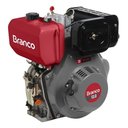 Ver imagem 5 de Motor a Diesel 13,0cv Partida Elétrica Bd-13.0 Branco