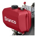 Ver imagem 2 de Motor a Diesel 13,0cv Partida Elétrica Bd-13.0 Branco