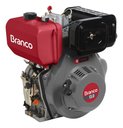 Ver imagem 1 de Motor a Diesel 13,0cv Partida Elétrica Bd-13.0 Branco