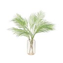 Ver imagem 1 de Galho de Palmeira Artificial