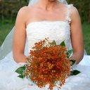 Ver imagem 4 de Kit 20 Hastes Mosquitinho Artificial Laranja para Eventos e Revenda